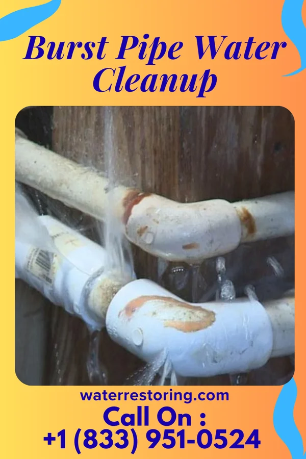 Burst Pipe Water Cleanup in Upper Exeter, PA