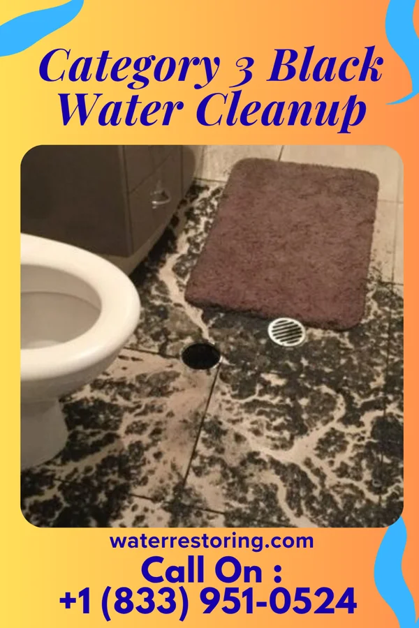 Category 3 Black Water Cleanup in Upper Exeter, PA