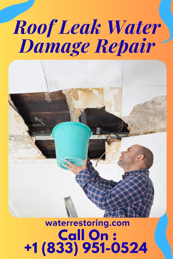 Roof Leak Water Damage Repair in Upper Exeter, PA