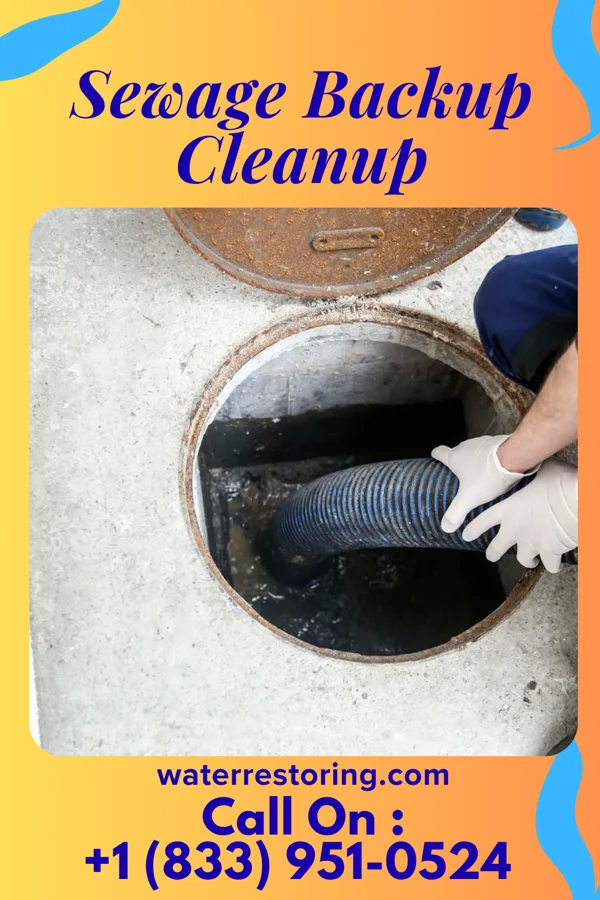 Sewage Backup Cleanup in Upper Exeter, PA