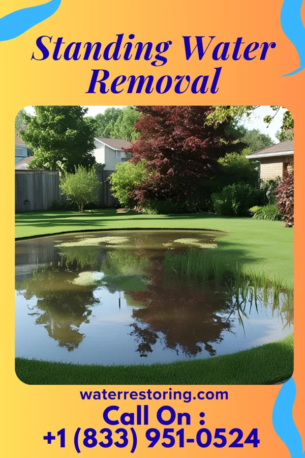 Standing Water Removal in Upper Exeter, PA